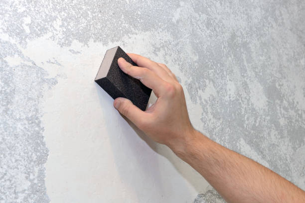 Best Emergency Mold Remediation  in Ben Lomond, CA