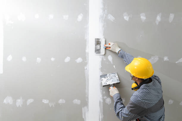 Mold Odor Removal Services in Ben Lomond, CA
